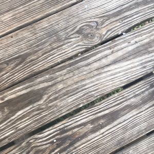 Meet your Posher, Yolanda